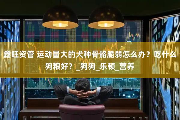 鑫旺资管 运动量大的犬种骨骼脆弱怎么办？吃什么狗粮好？_狗狗_乐顿_营养