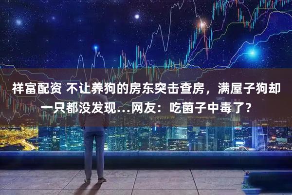 祥富配资 不让养狗的房东突击查房，满屋子狗却一只都没发现…网友：吃菌子中毒了？