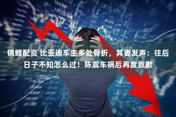 锦鲤配资 比亚迪车主多处骨折，其妻发声：往后日子不知怎么过！陈震车祸后再度致歉